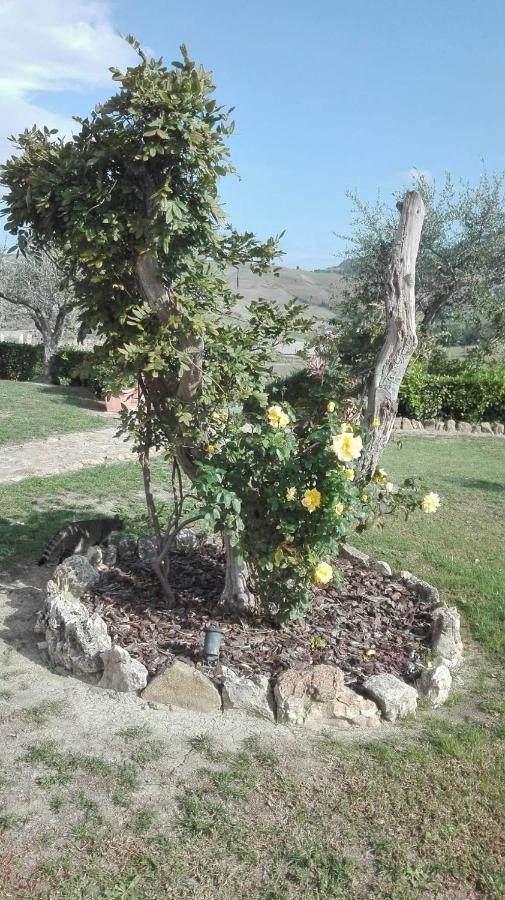 Agriturismo Casa Al Povero ヴォルテッラ エクステリア 写真